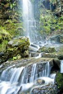 card 135 - Mallyan Spout