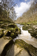 card 138 - Bolton Abbey