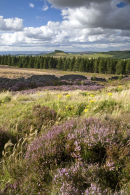 card 141 - Cleveland Way