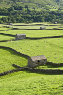 card 145 - Gunnerside