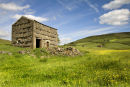card 154 - Swaledale