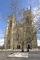 card 156 - York