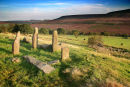 card 16 - Snilesworth Moor