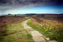 card 18 - Cleveland Way