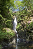 card 208 - Aira Force