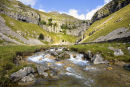 card 224 - Gordale