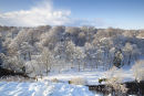 card 231 - Knaresborough