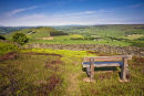card 37 - Fryup Dale