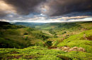 card 41 - Fryup Dale