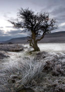 card 53 - Snilesworth Moor