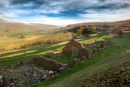 card 67 - Rosedale