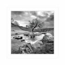 Card SQ11 - Downstream
