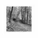 Card SQ1 - Autumn Pathways