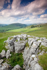 Conistone Pie