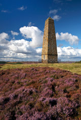 Cook's Monument