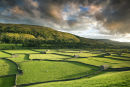 CARD 261 - Swaledale