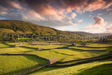 Golden Valleys, Swaledale