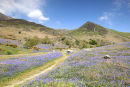 card 248. Rannerdale