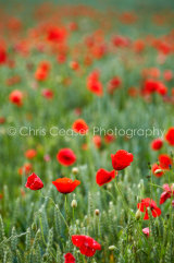 Red mist