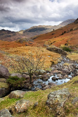 Langdale streams, Lake District