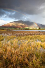 Rainbow's End