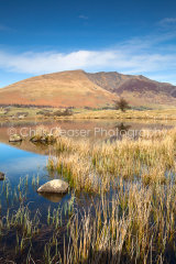Edge of the Lakes, Blencathra