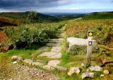 Footpath to Osmotherley (GC)