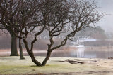 The lake house, Derwentwater