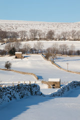 After The Snows, wensleydale