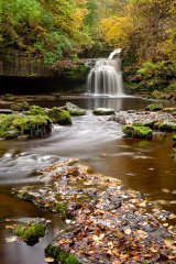 Autumn Leaves, West Burton Ffalls