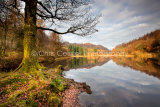 Yew Tree Tarn, Lake District