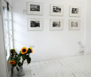 Exhibitions - 2008