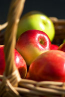 The Apple Basket