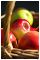 The Apple Basket