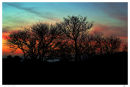 Red Sky at Night