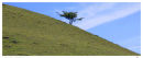 Barton Hills