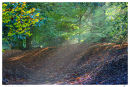 Sunlight Shaft