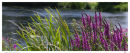 Summer Banks on ...