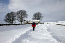 01D-9177 Walker on the Track Between Bowlees and Ash Hill in Winter Snow Teesdale County Durham