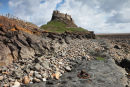 02D-2689 Lindisfarne Castle Viewed from the Beach Holy Isle Northumberland UK