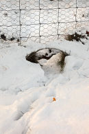 02D-9722 Tracking Sign of a Hole Under a Fence