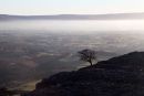 03D-0609 Isolated Tree and Mist Above the Village of Ingleton Viewed from Twistleton Scar Yorkshire Dales UK