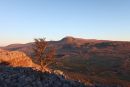 03D-0663 Hawthorn Tree and the Mountain of Ingleborough in Evening Light From Twistleton Scars Yorkshire Dales UK