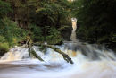 03D-7163 Catrigg Force Waterfall in Early Autumn Stainforth Ribblesdale Yorkshire Dales UK