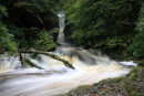 03D-7203 Catrigg Force Waterfall in Early Autumn Stainforth Ribblesdale Yorkshire Dales UK