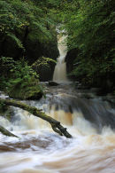 03D-7246 Catrigg Force Waterfall in Early Autumn Stainforth Ribblesdale Yorkshire Dales UK