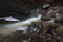 04D-2924 Middlehope Burn Running Through a Site of Special Scientific Interest Known as Slit Wood Westgate Weardale County Durham UK.