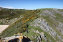 04D-8136 The View From Great Torr to Penmaen Burrows Oxwich Bay Gower Wales UK