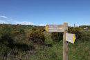 04D-8207 Coastal Footpath Sign to Nicholaston and Three Cliffs Bay on Penmaen Burrows Oxwich Bay Gower South Wales UK