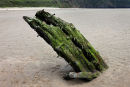 04D-9283 The Remains of the Norwegian Ship The Helvetia Which was Wrecked on Rhossili Beach in 1887 Gower Wales UK